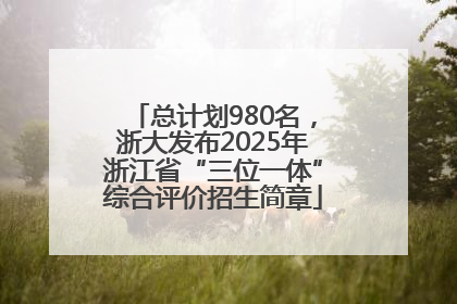 总计划980名，浙大发布2025年浙江省“三位一体”综合评价招生简章